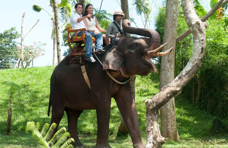 バリの動物園ならではなの企画が盛りだくさん！